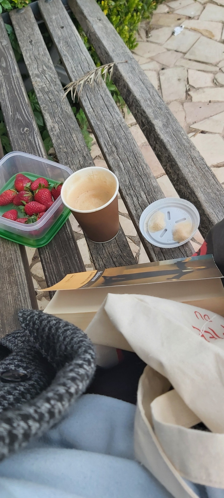 Cafe und Erdbeeren neben mir auf einer Bank | © Fanny Donhuijsen