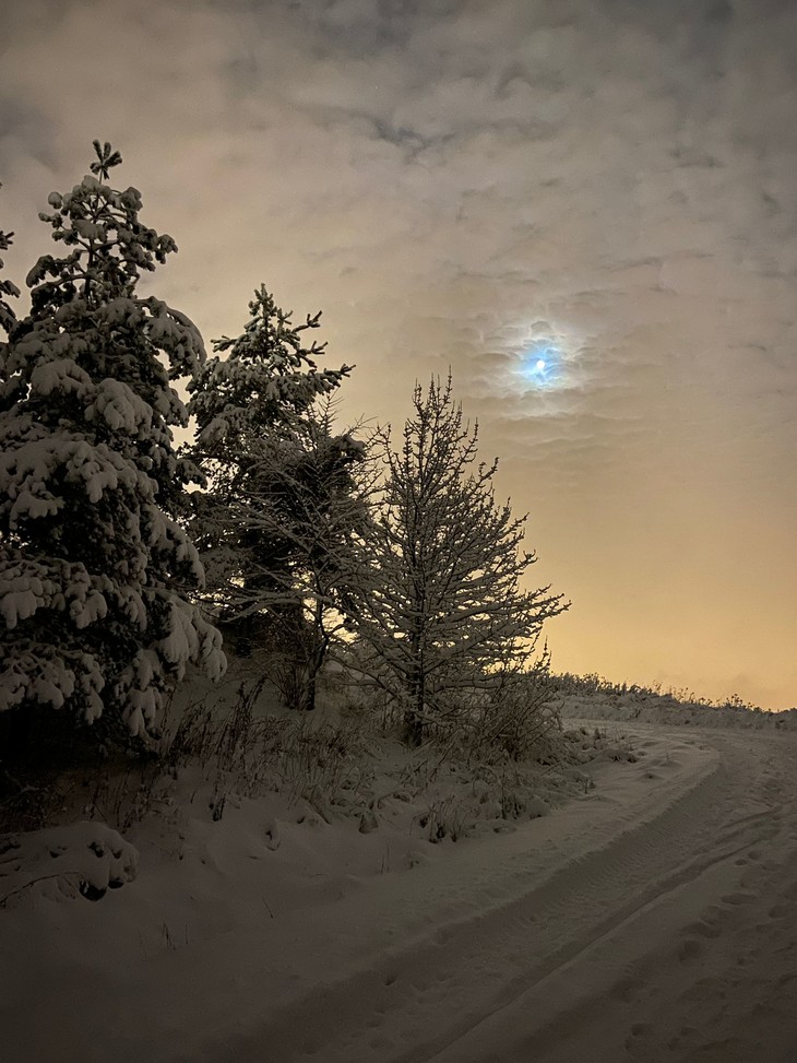 Schneelandschaft im Abendlicht  | © Sarah Bolz 