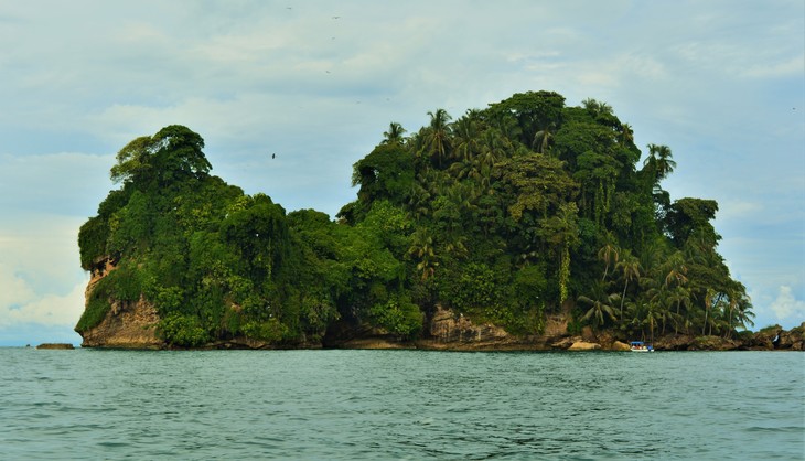 Bird Island | © Julian Hobert