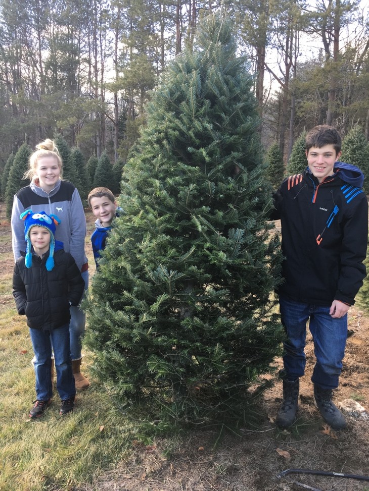 4 Personen stehen um einen Tannenbaum | © Aaron Lohoff