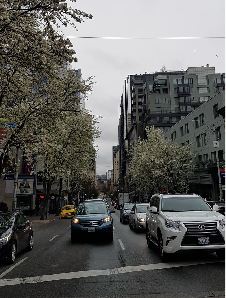 Autos fahren auf einer Straße  | © Hanna Vogel