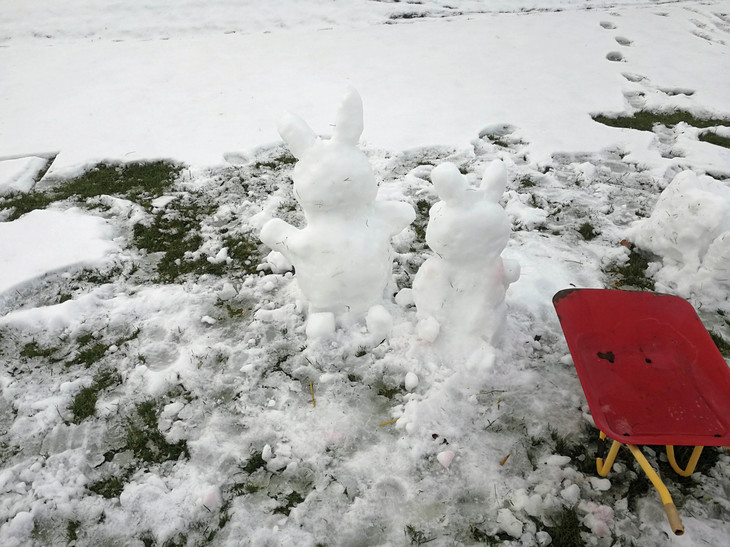 zwei Schneehasen  | © Jule Kralik