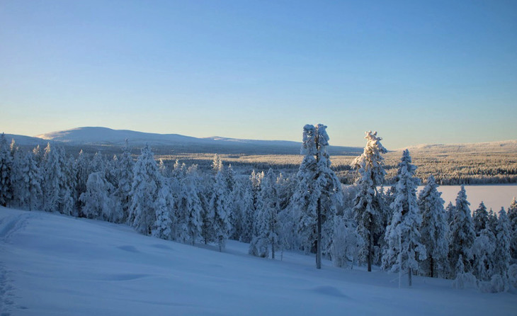 Schneelandschaft | © Jule Kralik