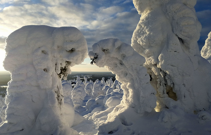 die schneebedeckten Bäume beugen sich zueinander  | © Jule Kralik