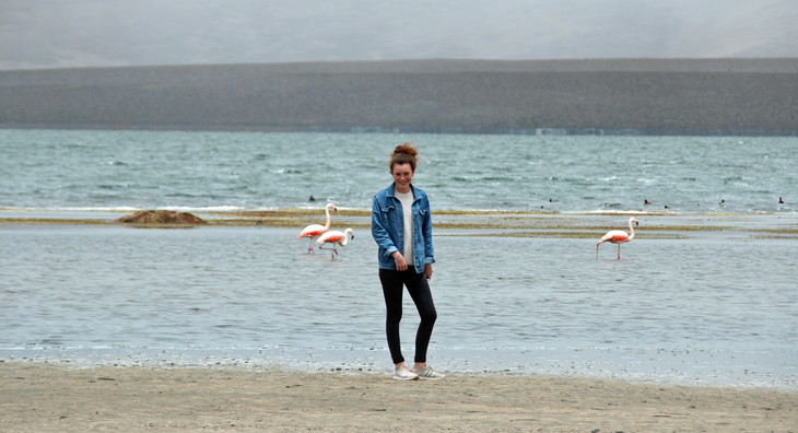 Flamingos  | © Luise Bachtler