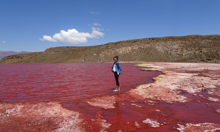 See aus rotem Wasser  | © Luise Bachtler