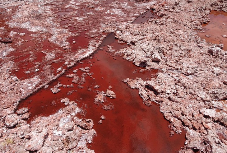 rotes Wasser im See  | © Luise Bachtler