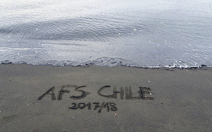 AFS in Strand eingeritzt  | © Luise Bachtler