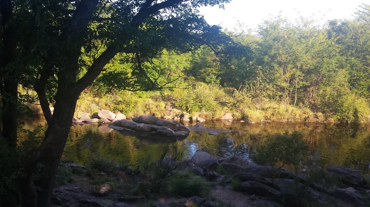 Fluss in der Natur  | © Maike Issler