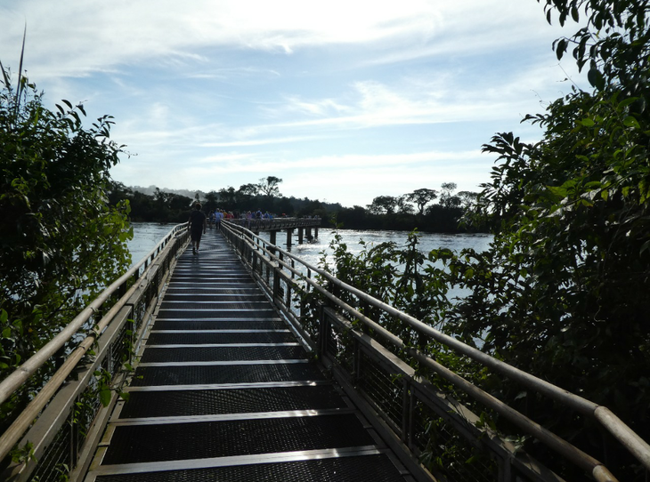 Brücke in der Wildnis  | © Maike Issler