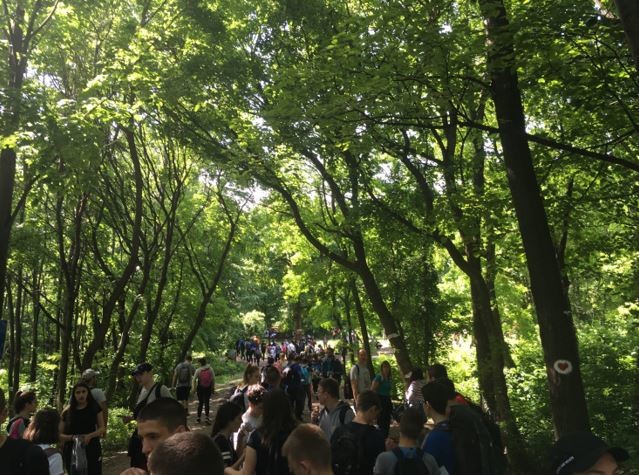 Der „Fruški Gorski Maraton“ bei Novi Sad. Eine Veranstaltung bei der Schulklassen aus ganz Serbien und andere Sportbegeisterte auf Pfaden durch die Fruschka Gora, ein Wald vergleichbar mit dem pfälzer Wald, wandern.  | © Timon Baral