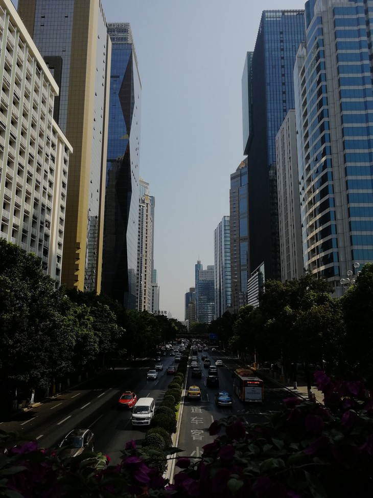 Straße mit Hochhäusern am Straßenrand  | © David Grimm