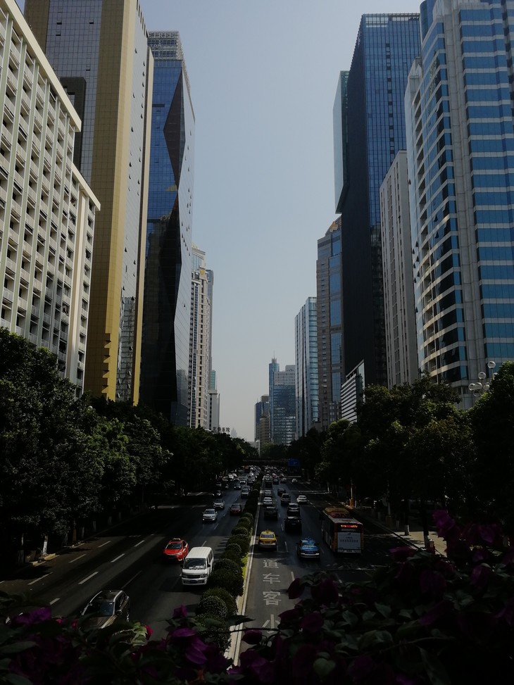 Straße mit Hochhäusern am Straßenrand  | © David Grimm