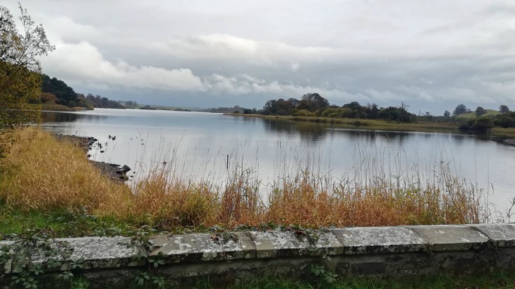 Blick auf einen See | © Johanna Kober