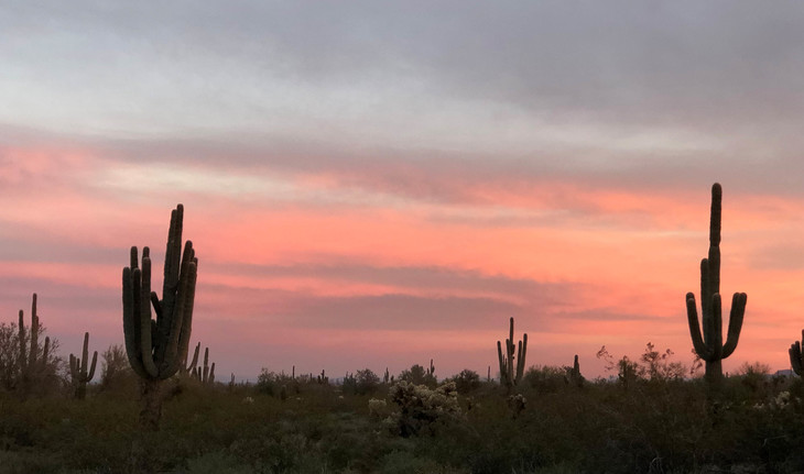 Sonnenuntergang in der Wüste  | © Louisa Piper
