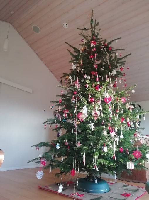 weihnachtlich geschmückter Tannenbaum  | © Lina Hoffmann