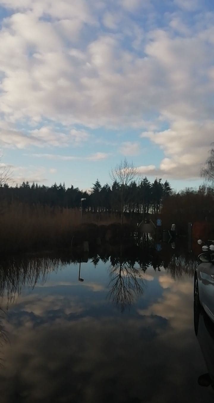 Bäume spiegeln sich im See  | © Lina Hoffmann