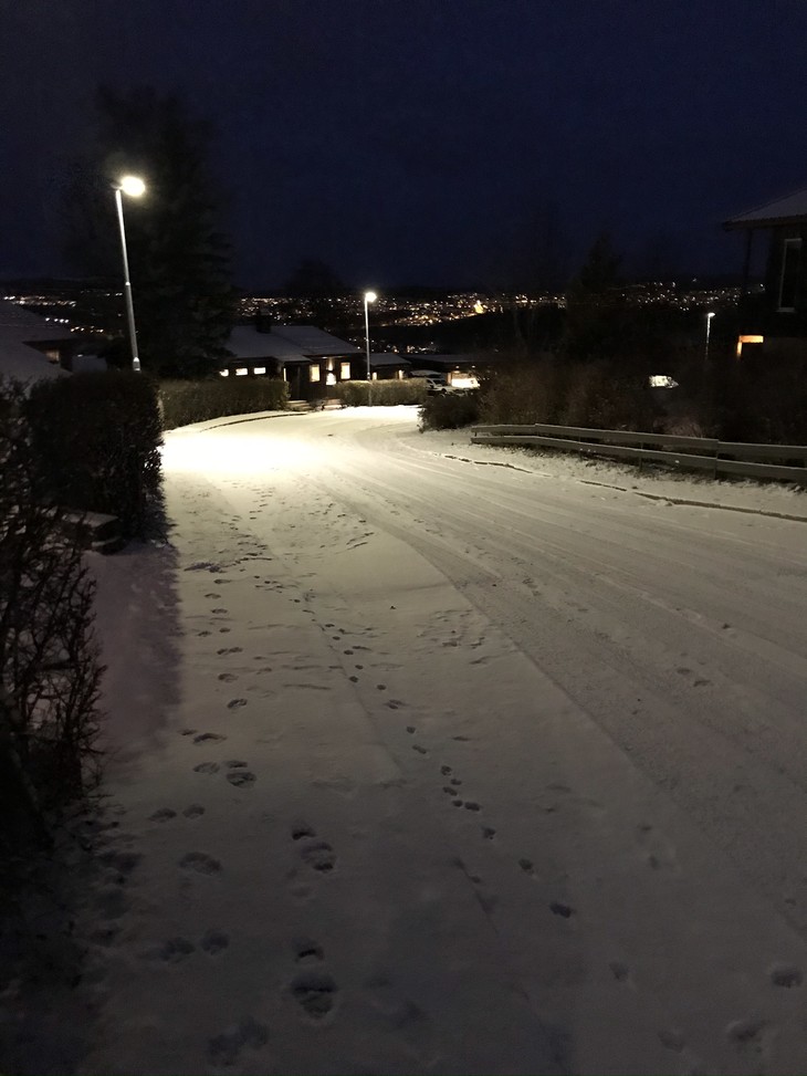 von Schnee bedeckte Straße | © Liv de Bruyn