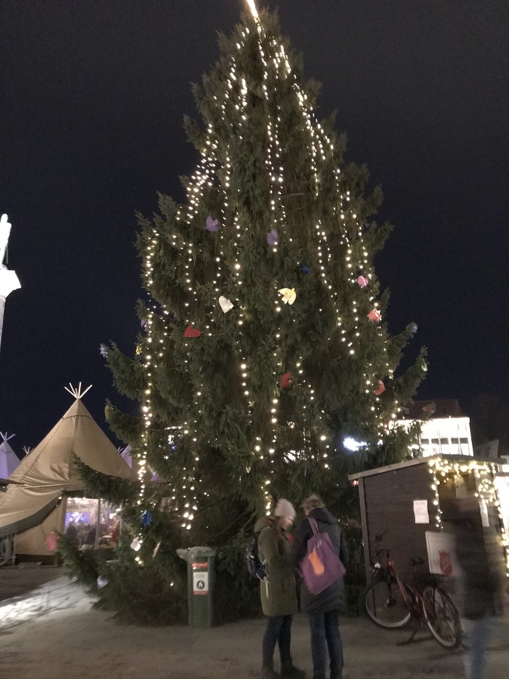 beleuchteter Tannenbaum | © Liv de Bruyn