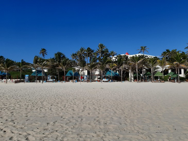 Strand  mit Palmen  | © Merle Hauser 