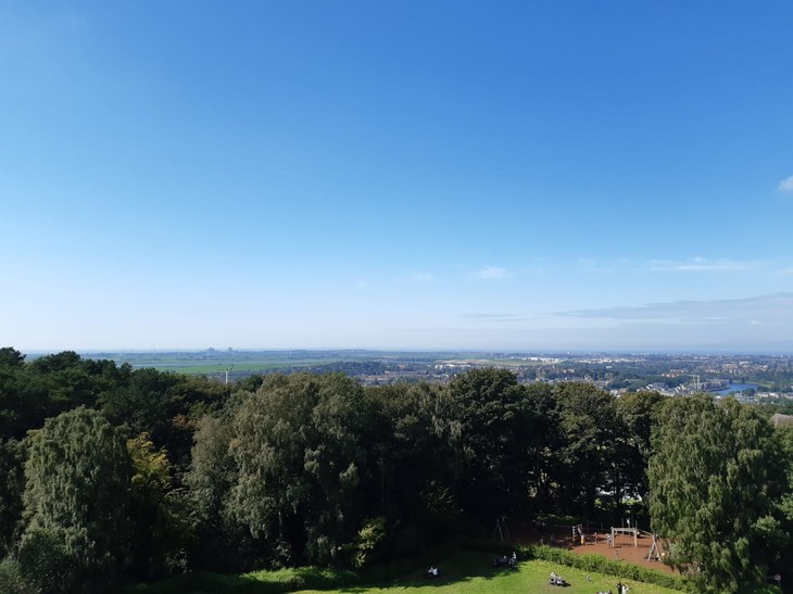 grüner Park von oben | © Helena Schönmann