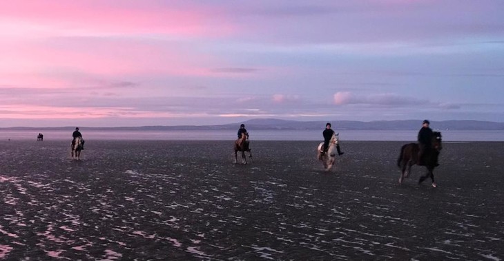 Gruppe von Reitern am Strand | © Helena Schönmann