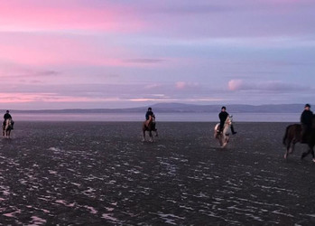 Gruppe von Reitern am Strand | © Helena Schönmann