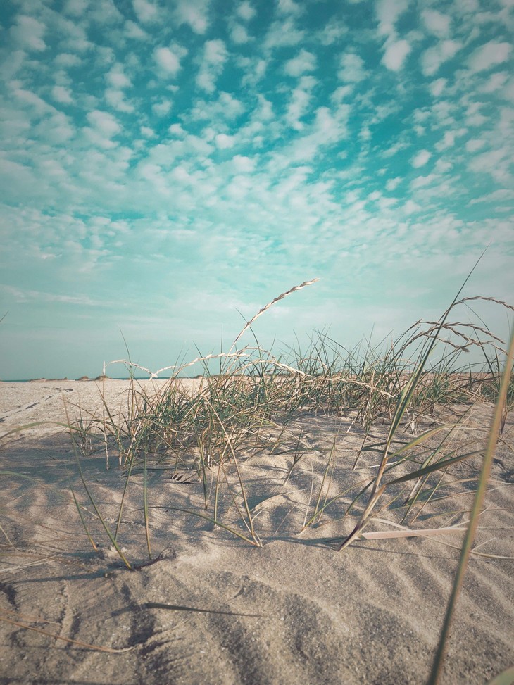 Sandstrand | © Lena Frohn