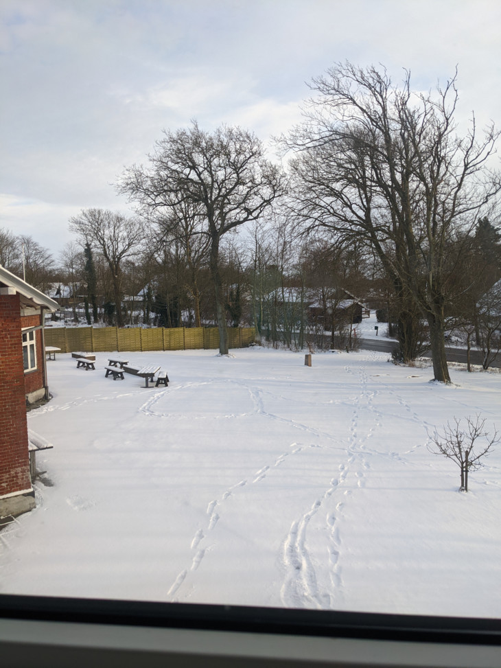 Blick aus dem Fenster  | © Lena Frohn