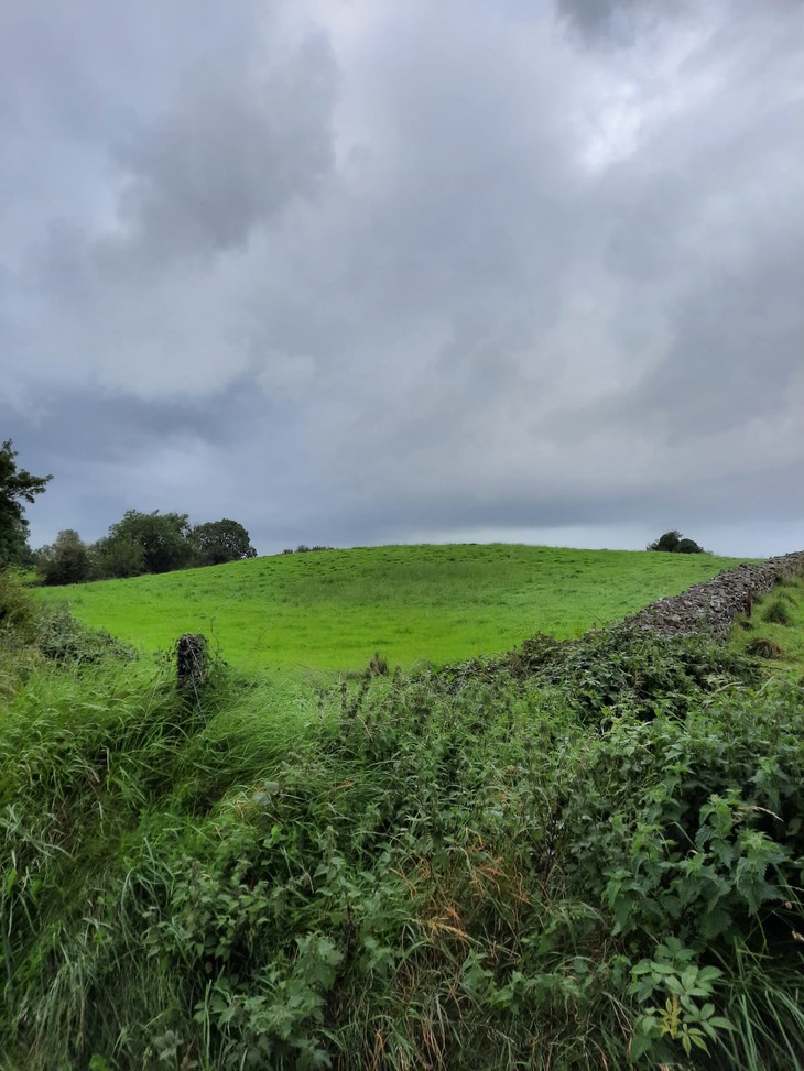 grüne Landschaft  | © Mathis Schlüchtermann