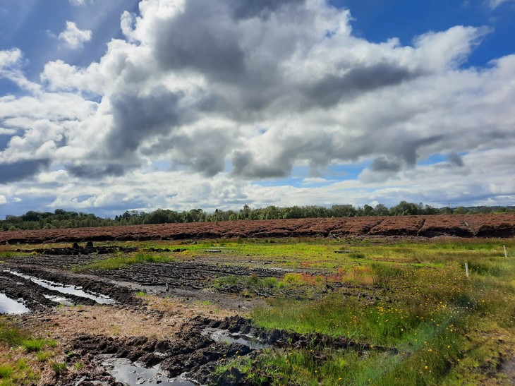 Landschaft in Irland | © Mathis Schlüchtermann