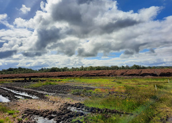 Landschaft in Irland | © Mathis Schlüchtermann