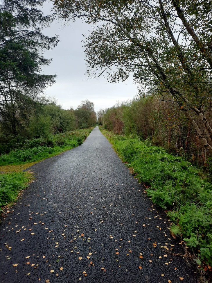 Radweg durch den Wald  | © Mathis Schlüchtermann