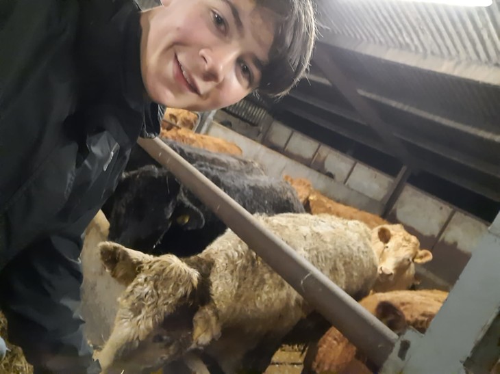 Selfie vor den Kühen im Stall  | © Mathis Schlüchtermann