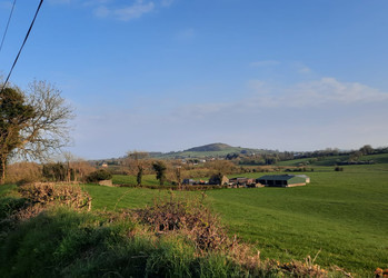 Sonniges Landschaftsbild | © Mathis Schlüchtermann