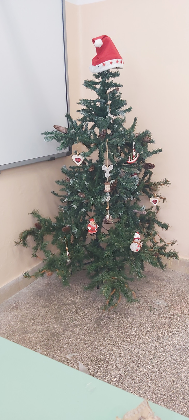 Weihnachtsbaum | © Fanny Donhuijsen
