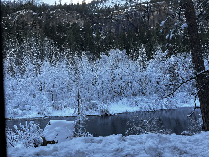 vereiste Bäume  | © Emmanuel Bakowski