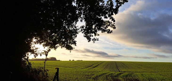 Die Aussicht beim Joggen | © Lea Kandefer 