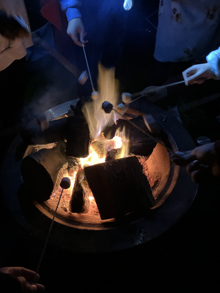 Campingausflug mit Marshmallows | © Marie Wolf