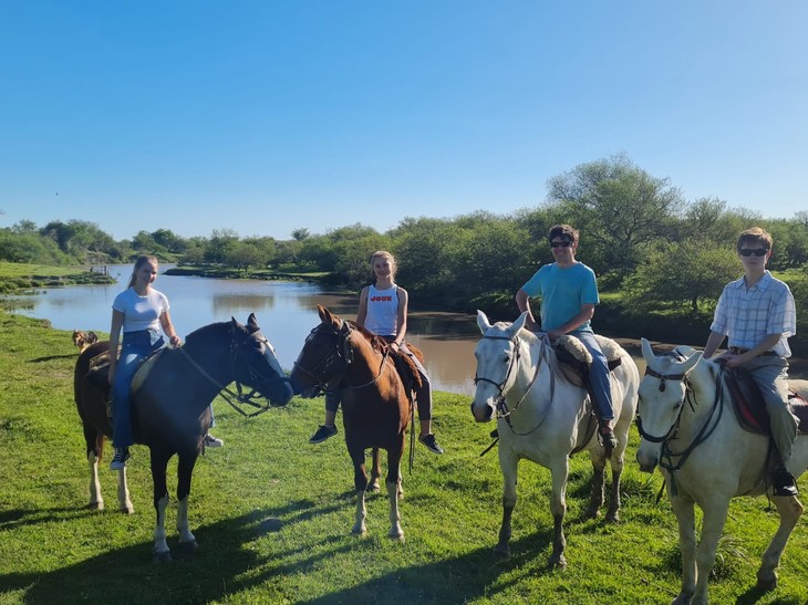 vier Personen reiten auf Pferden durch die grüne Natur  | © Mara Kopp